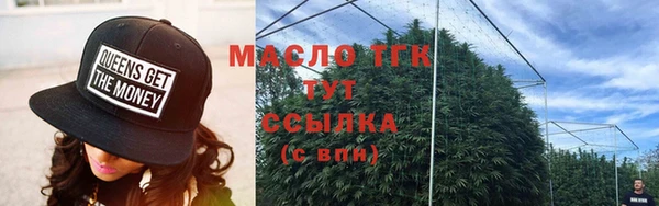 гидра Коряжма