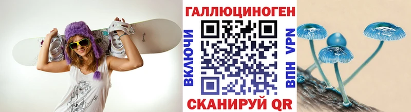Псилоцибиновые грибы GOLDEN TEACHER  наркошоп  Буй 