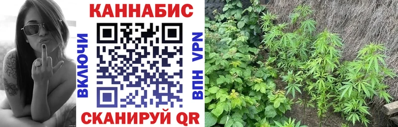 Каннабис гибрид  kraken вход  Буй 